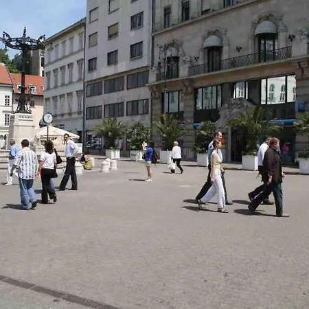 Flat In The Center Of Apartman